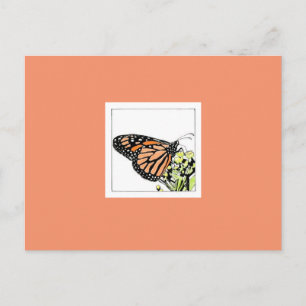 Monarch Butterfly (Colourized) Postcard