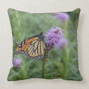Monarch Butterfly Cushion
