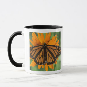 Monarch butterfly (Danaus plexippus) on pot Mug