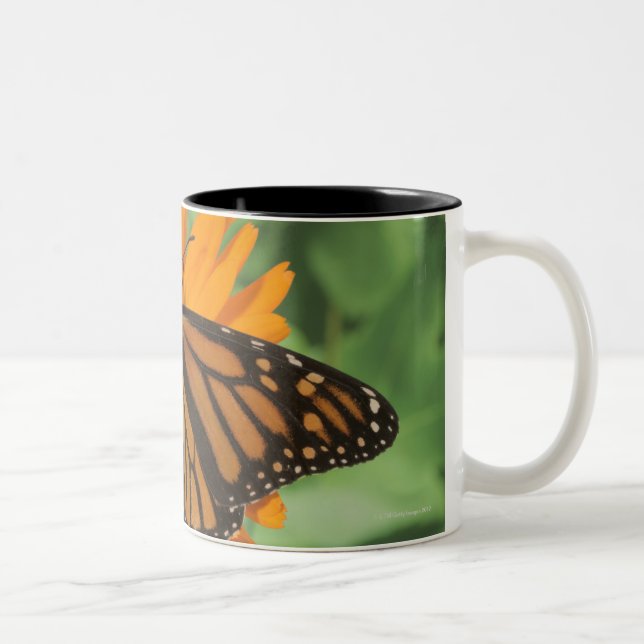Monarch butterfly (Danaus plexippus) on pot Two-Tone Coffee Mug (Right)