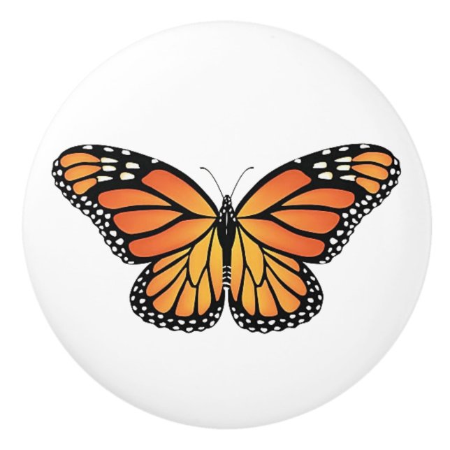 Monarch Butterfly drawer knobs (Front)