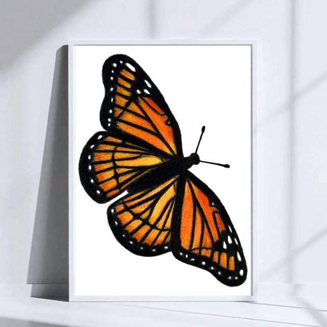 Monarch Butterfly Drawing Coloured Pencil Art Poster (Creator Uploaded)