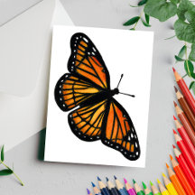 Monarch Butterfly Drawing Coloured Pencil