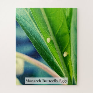 Monarch Butterfly Eggs 56 Pieces Jigsaw Puzzle