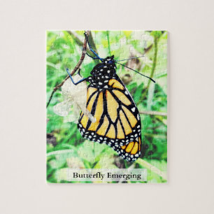 Monarch Butterfly Emerging 110Pcs Jigsaw Puzzle