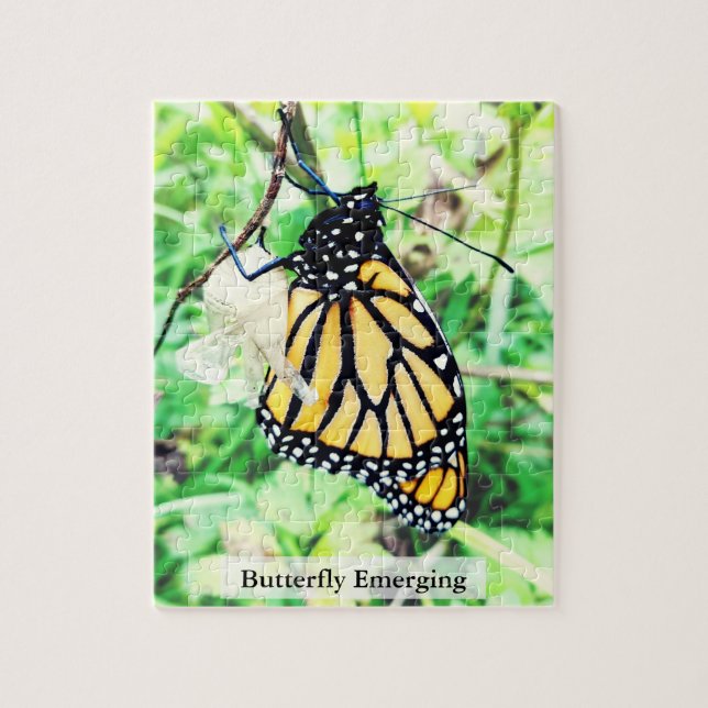 Monarch Butterfly Emerging 110Pcs Jigsaw Puzzle (Vertical)
