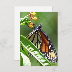 Monarch Butterfly Flat Thank You Card
