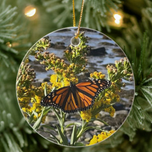 Monarch Butterfly Floral Nature Ceramic Ornament