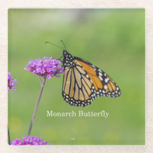 Monarch Butterfly glass coasters