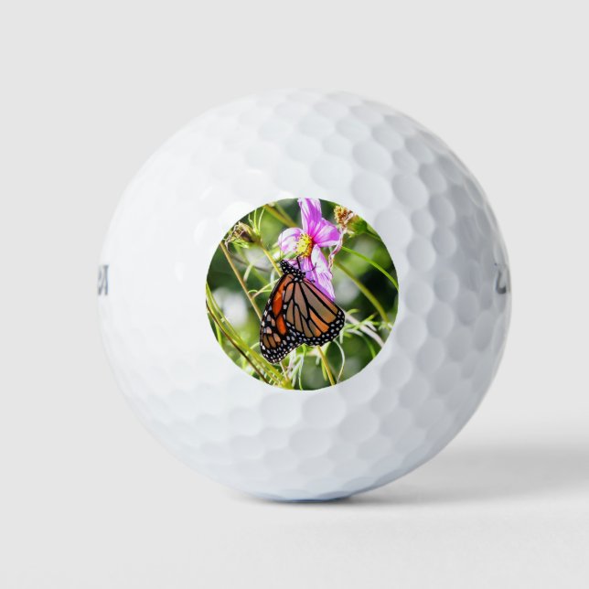 Monarch Butterfly Golf Balls (Front)