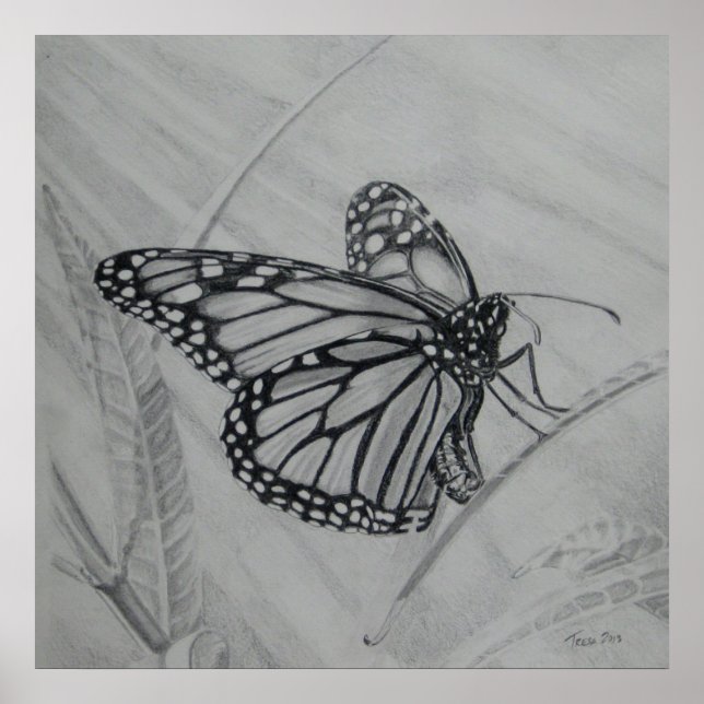 Monarch Butterfly graphite drawing Poster (Front)