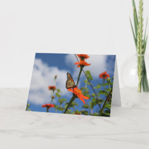 Monarch butterfly greeting card