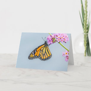 Monarch Butterfly Greeting Card
