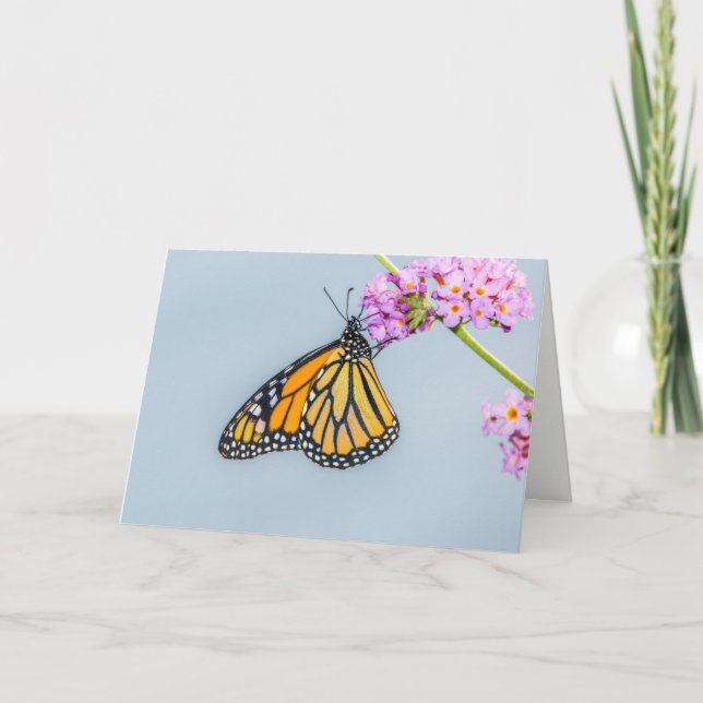 Monarch Butterfly Greeting Card (Front)