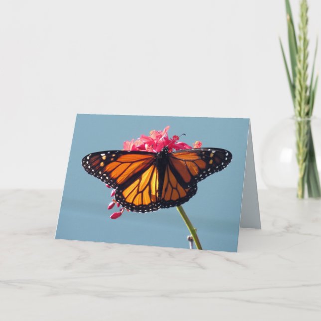 Monarch Butterfly Greeting Card (Front)