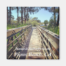 Monarch Butterfly Grove: Pismo Beach, CA