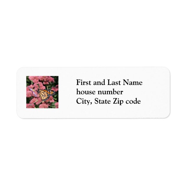 Monarch Butterfly I Return Address label (Front)
