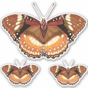 Monarch Butterfly in Brown, Rust and Cream