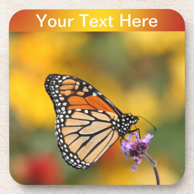 Monarch Butterfly In Search of Pollen Coaster (Front)