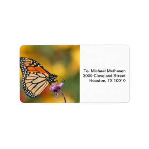 Monarch Butterfly In Search of Pollen Label