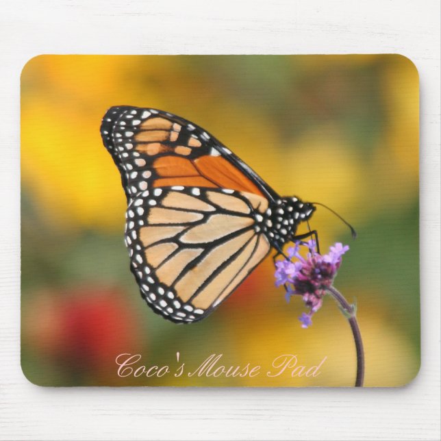 Monarch Butterfly In Search of Pollen Mouse Pad (Front)