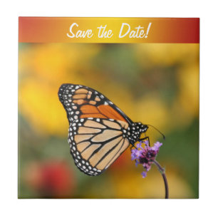 Monarch Butterfly In Search of Pollen Tile