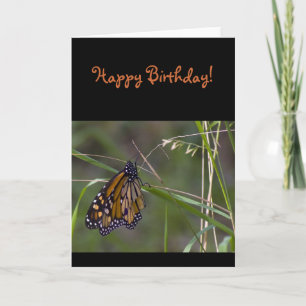 Monarch Butterfly in the Grass Birthday Card
