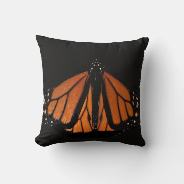 Monarch Butterfly  in the key of Orange Cushion (Front)