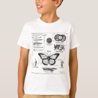 Monarch Butterfly Information