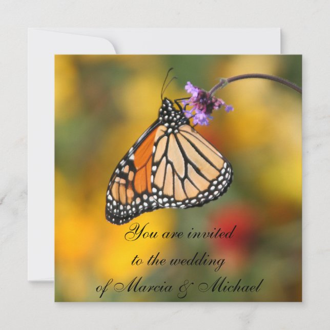 Monarch Butterfly Invitations (Front)