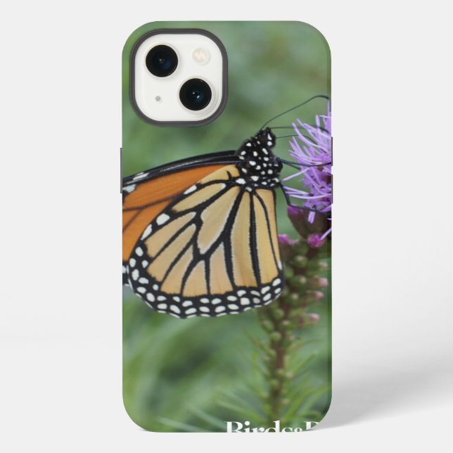 Monarch Butterfly iPhone Case (Back)