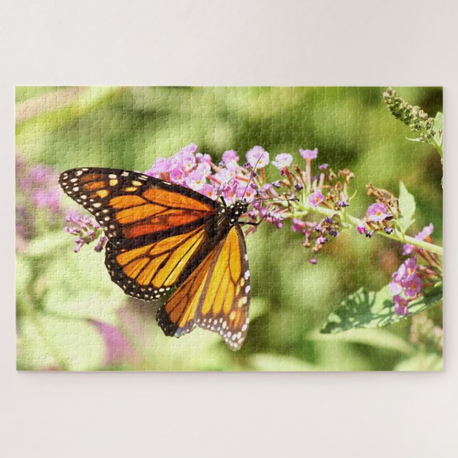 Monarch Butterfly  Jigsaw Puzzle (Horizontal)