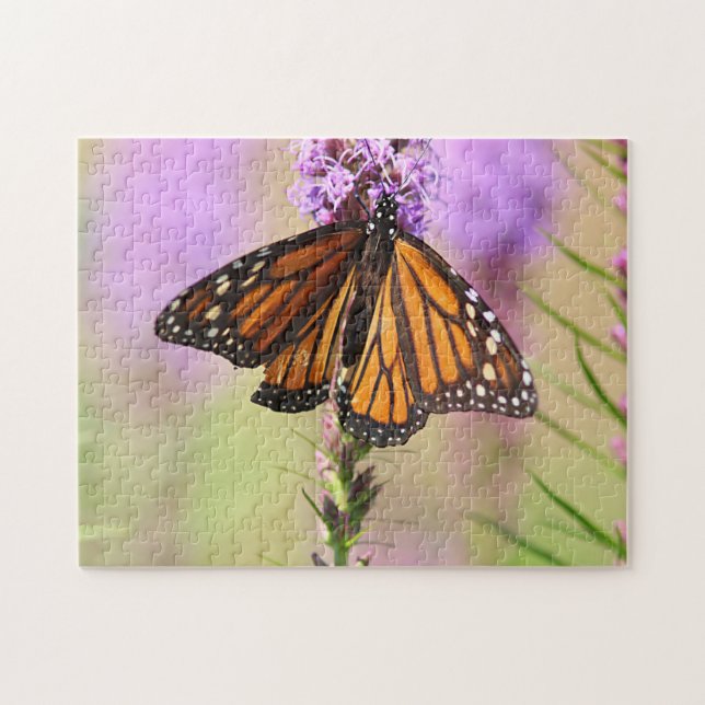 Monarch butterfly jigsaw puzzle (Horizontal)