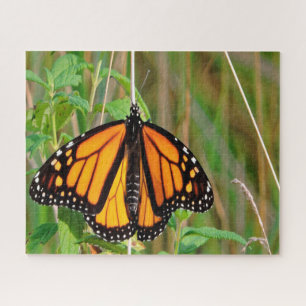 Monarch Butterfly. Jigsaw Puzzle