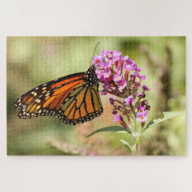 Monarch Butterfly Jigsaw Puzzle (Horizontal)
