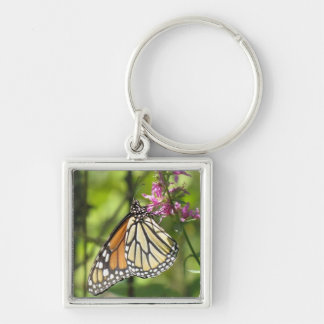 Monarch Butterfly keychain