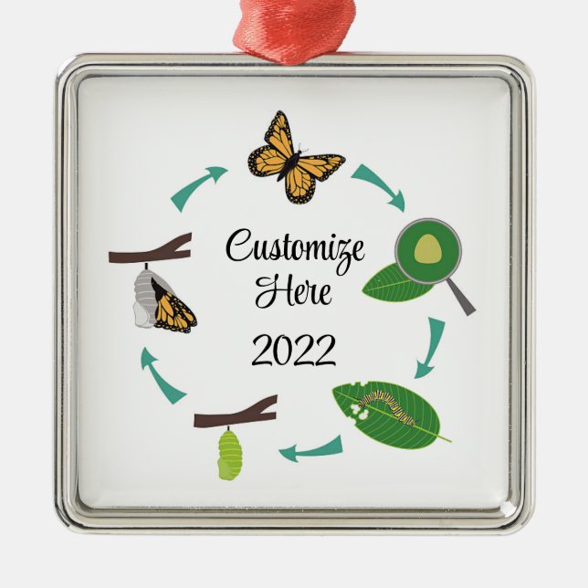 Monarch butterfly lifecycle metal ornament (Front)