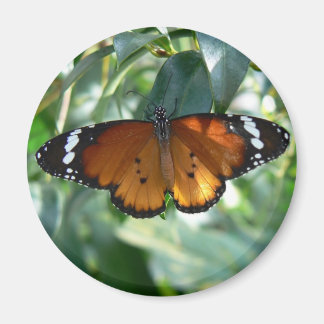 Monarch Butterfly Magnet