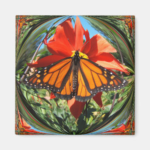 Monarch butterfly ~ magnet