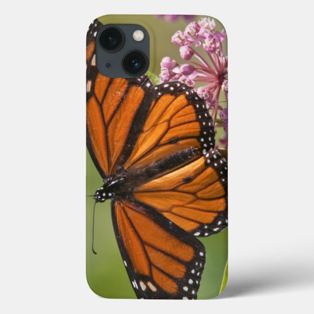 Monarch Butterfly male on Swamp Milkweed Case-Mate iPhone Case (Back)
