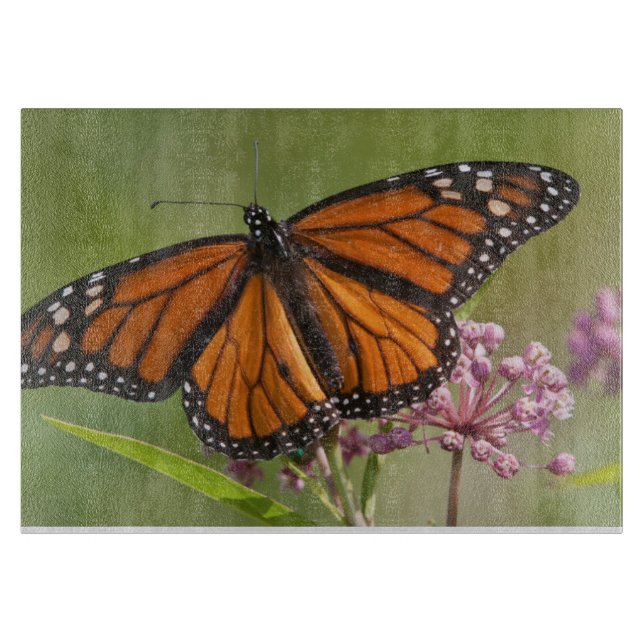 Monarch Butterfly male on Swamp Milkweed Cutting Board (Front)