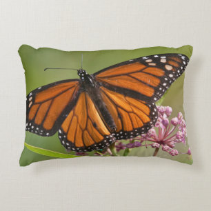 Monarch Butterfly male on Swamp Milkweed Decorative Cushion