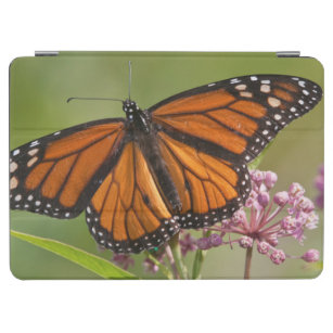 Monarch Butterfly male on Swamp Milkweed iPad Air Cover