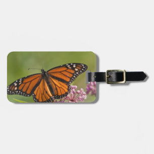 Monarch Butterfly male on Swamp Milkweed Luggage Tag