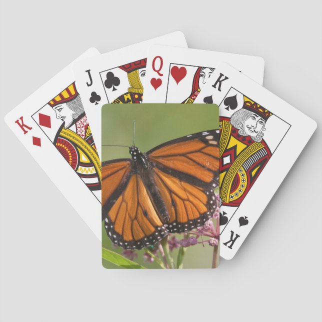 Monarch Butterfly male on Swamp Milkweed Playing Cards (Back)