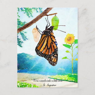 Monarch Butterfly Miracles Postcard