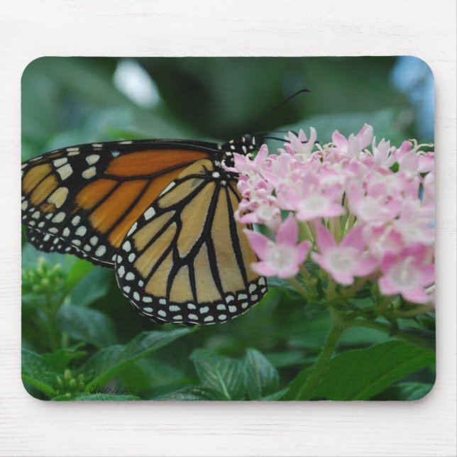 Monarch Butterfly Mouse pad (Front)