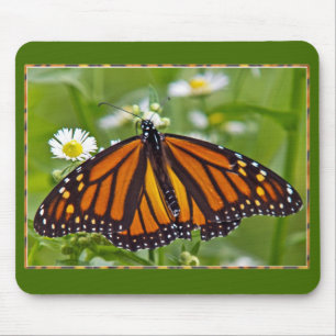 Monarch Butterfly Mouse Pad