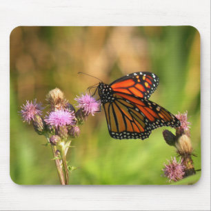 Monarch Butterfly Mouse Pad