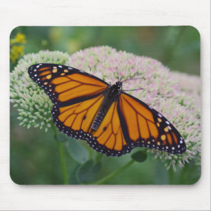 Monarch Butterfly Mouse Pad